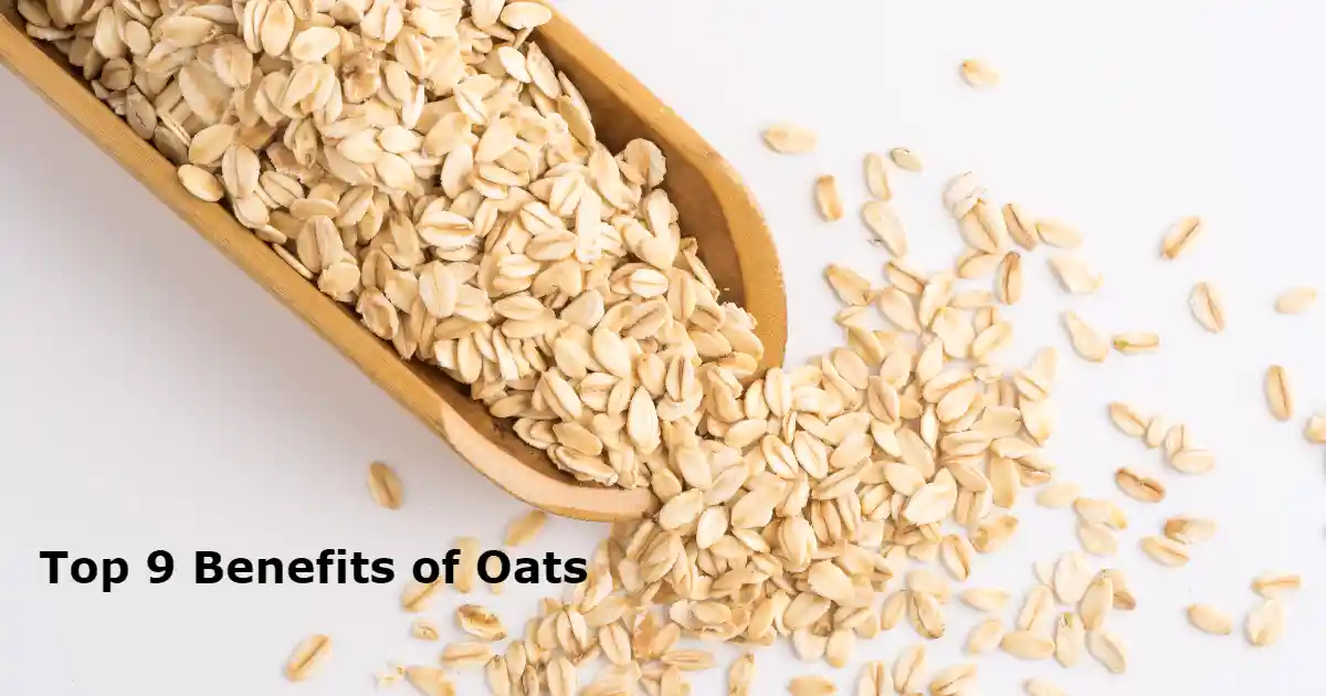 overnight oats in hindi