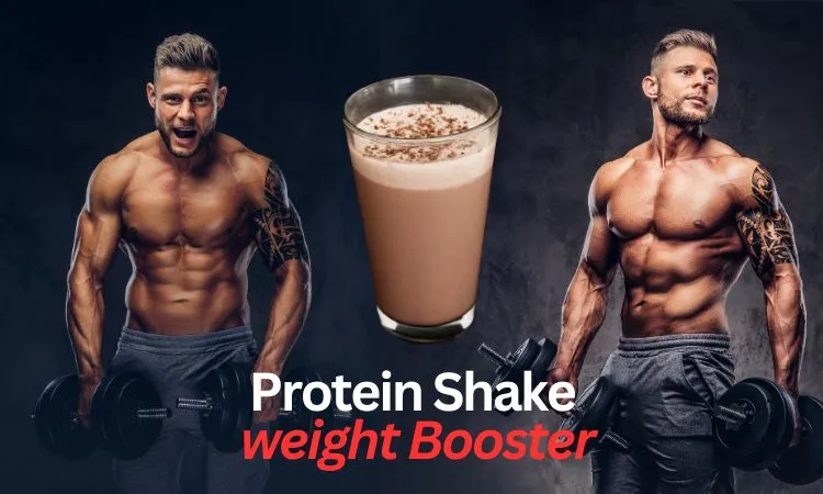 protein shakes for weight gain
